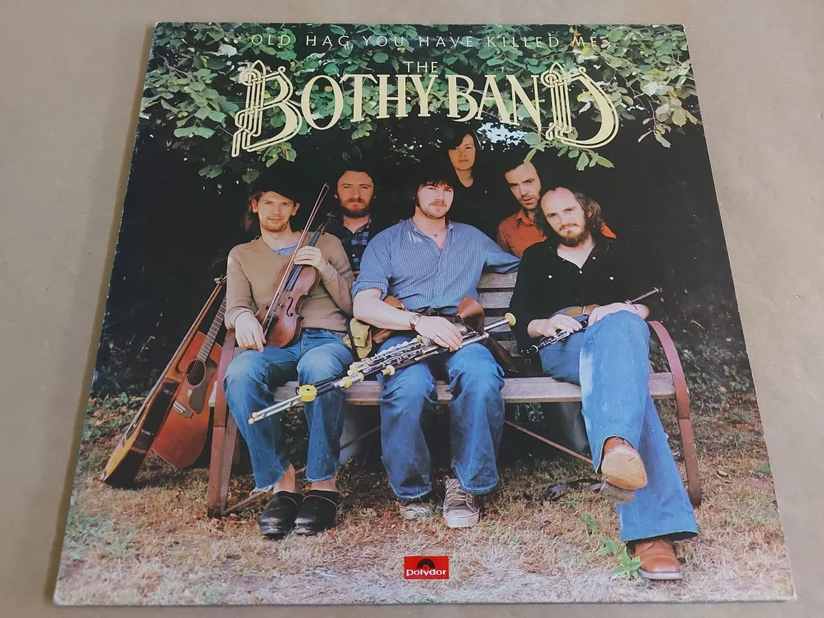 IRISH TRAD/FOLK VINYL RECORDS - ALL CLEANED - Image 3