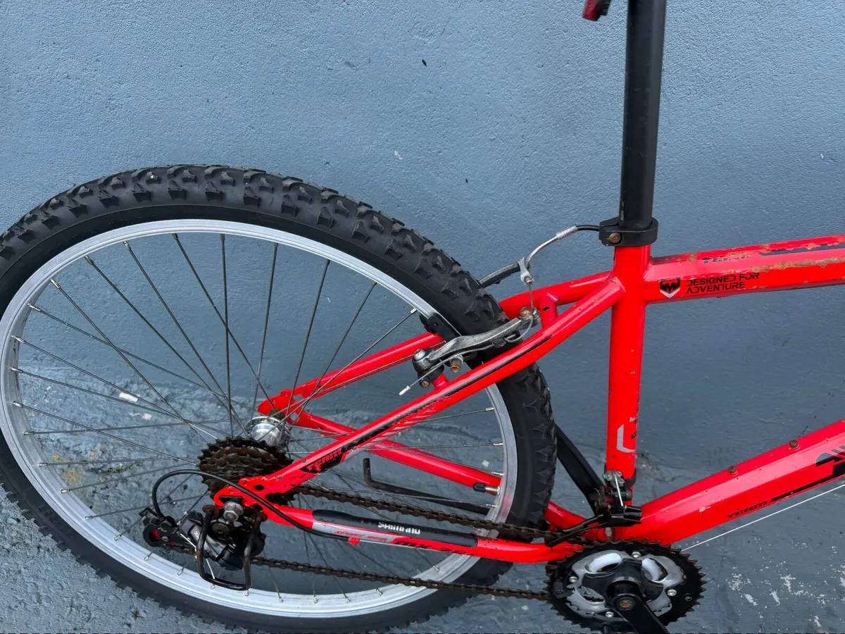 Tema bike❗️Open 7 days of the week ❗️ - Image 3