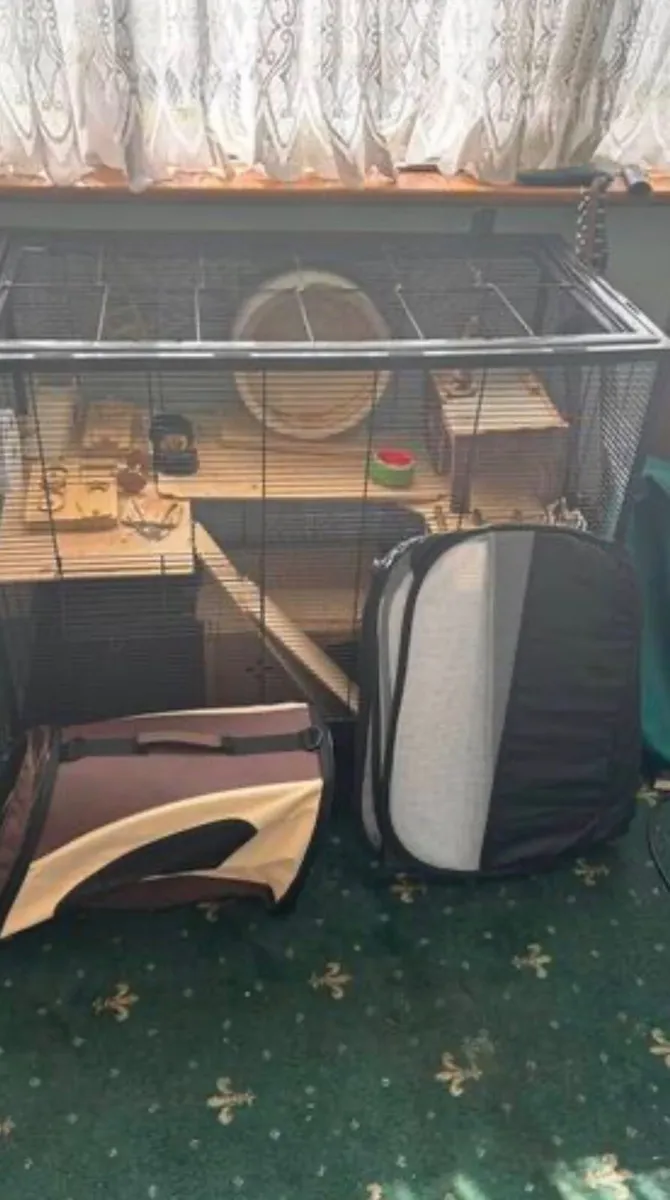 Rodent cage with accessories