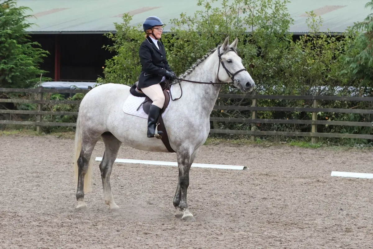 RID Yearling Filly - Image 4