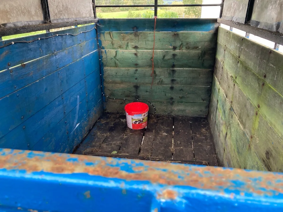 Cattle trailer - Image 4