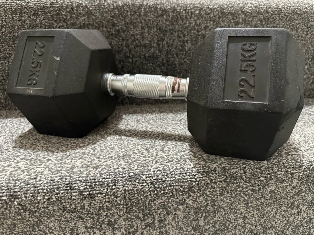 Hex Dumbbells - Image 2