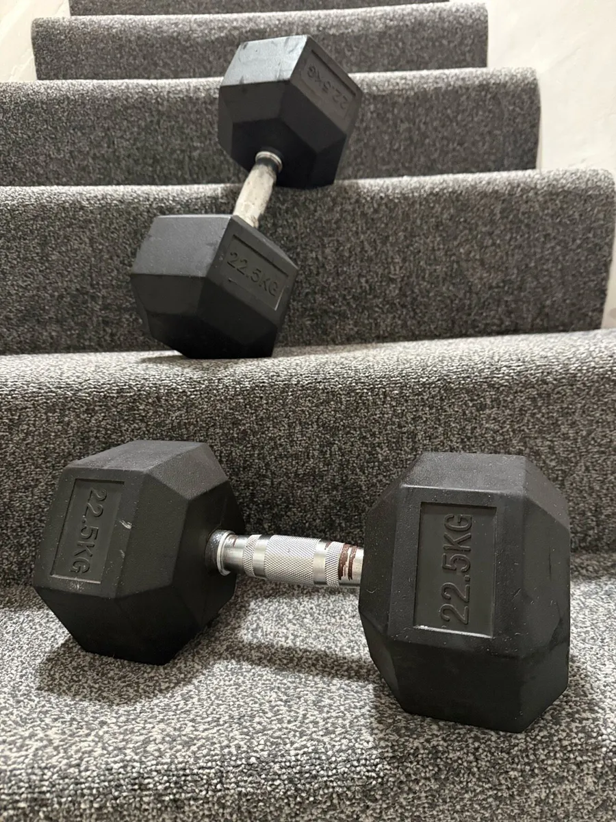 Hex Dumbbells - Image 3