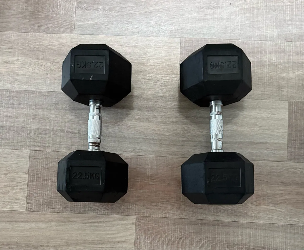Hex Dumbbells - Image 1