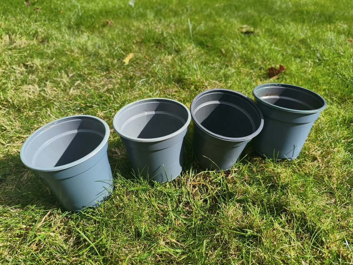 Pots - Image 4