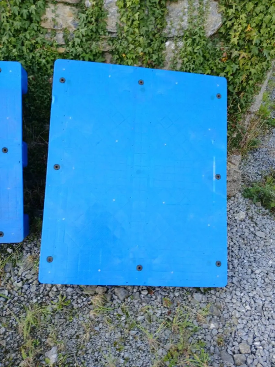 Strong plastic clean pallets...almost new - Image 2