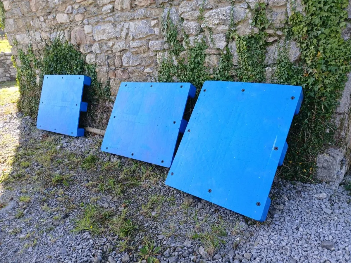 Strong plastic clean pallets...almost new - Image 3