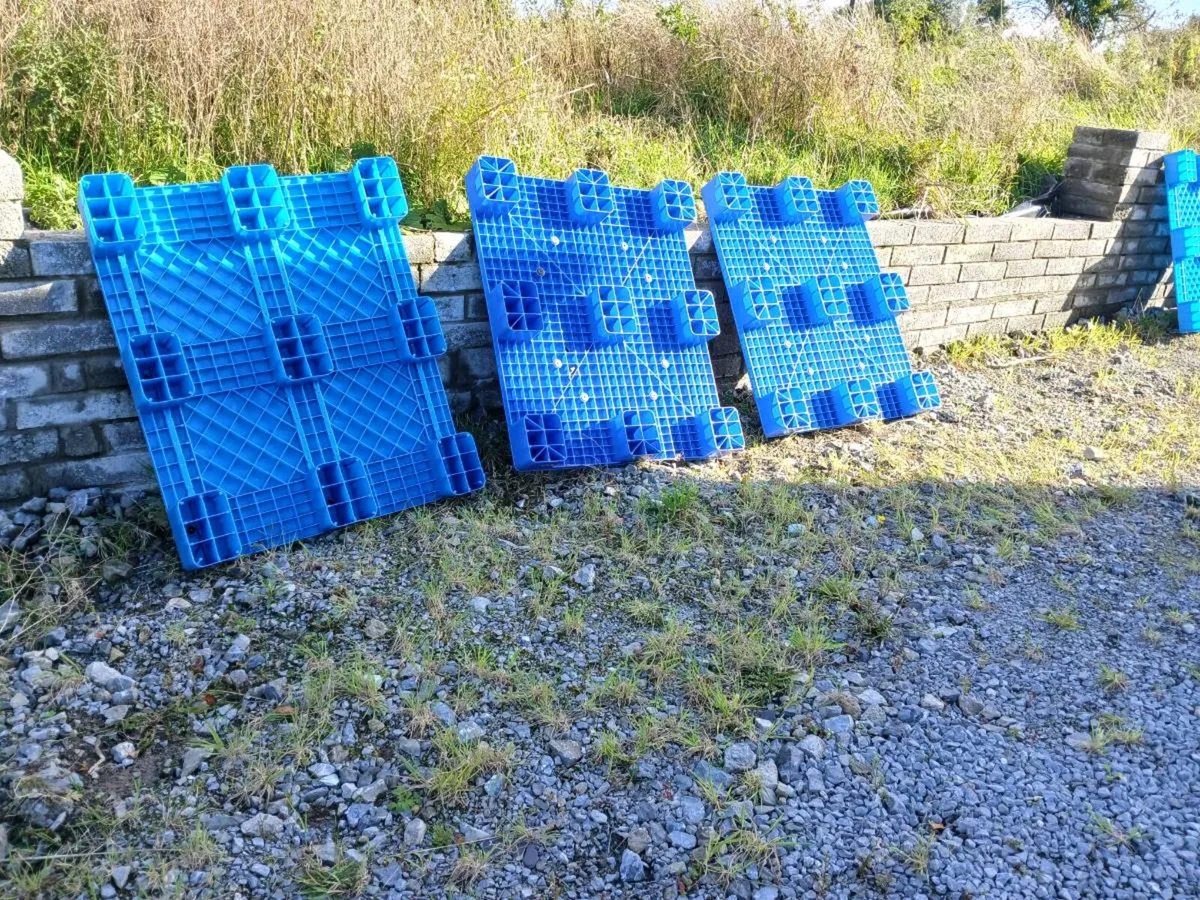 Strong plastic clean pallets...almost new - Image 4