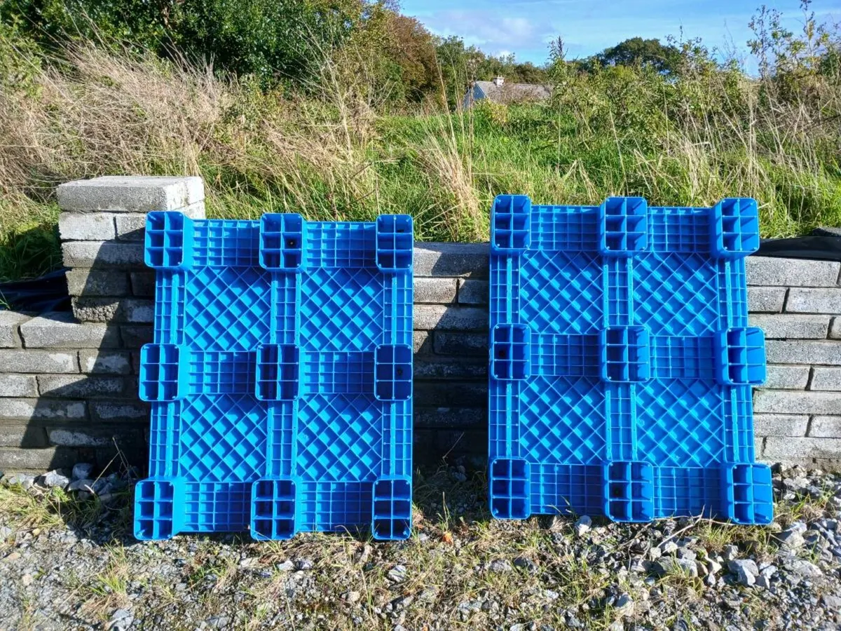 Strong plastic clean pallets...almost new - Image 1