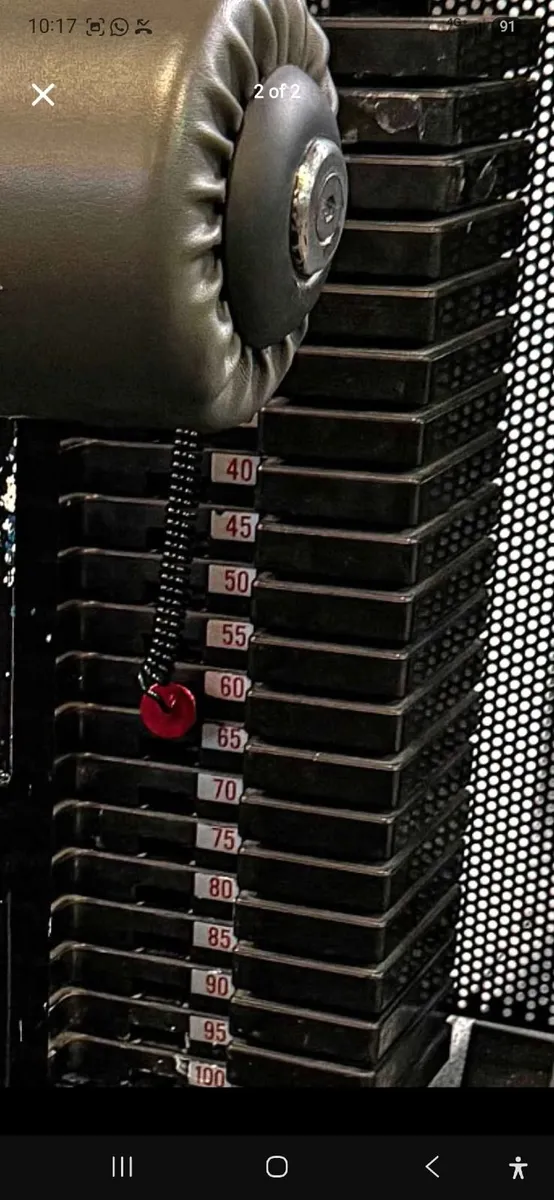Fassi commercial selectorised lat pulldown machine - Image 2
