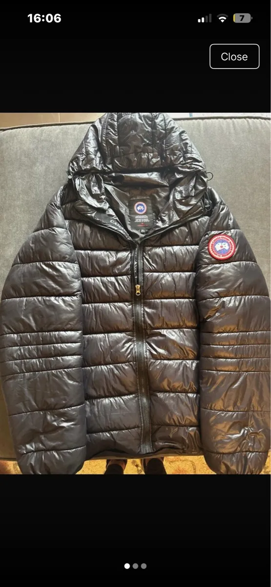 Canada goose crofton