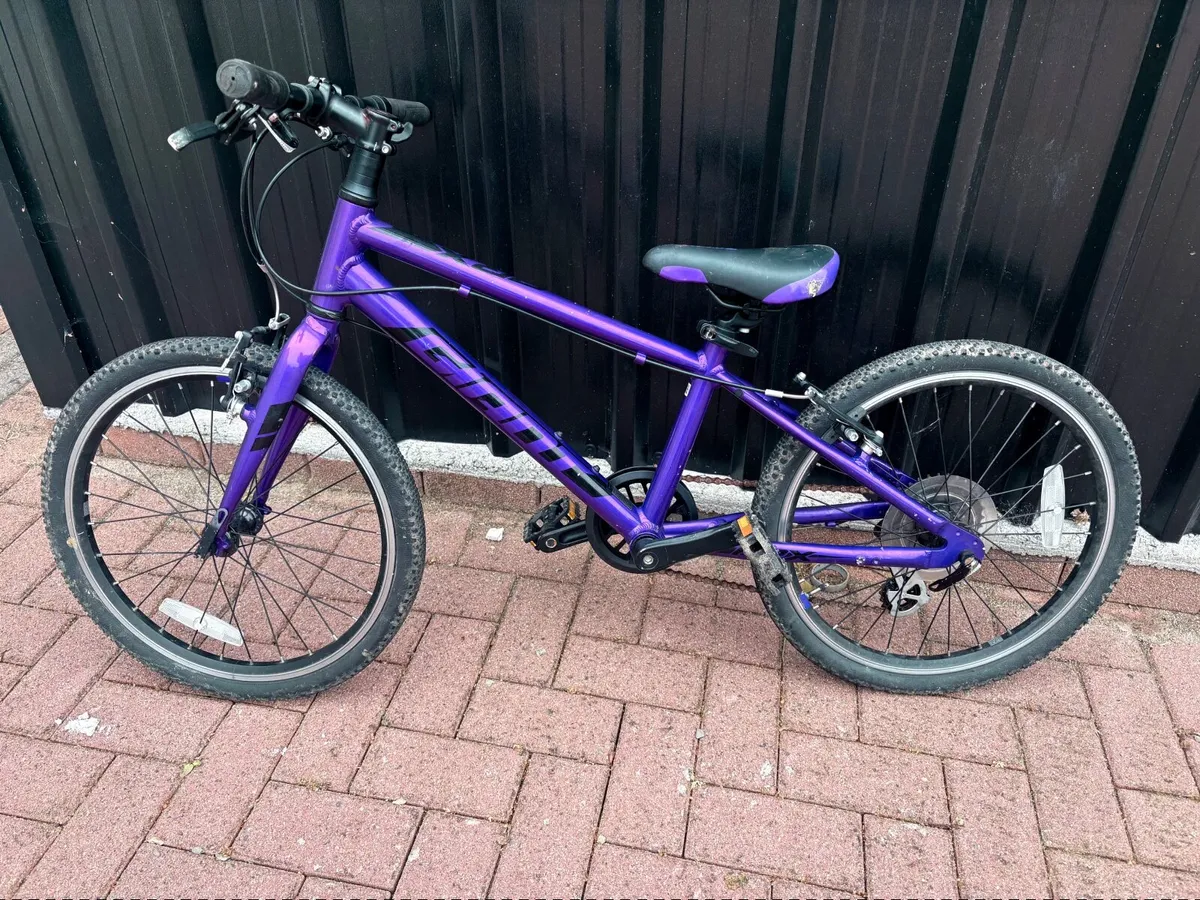 Giant Kids Bike