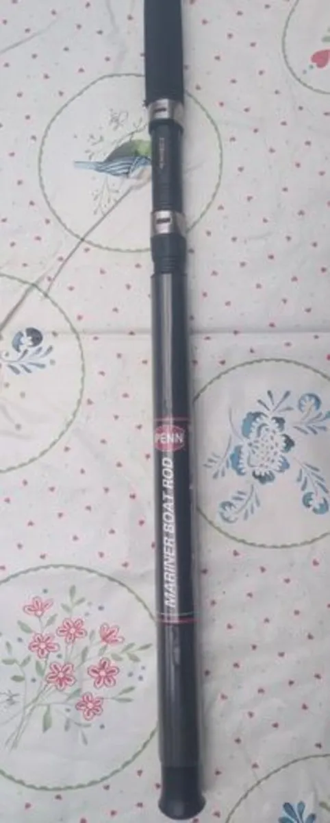Penn Boat Rod 6ft 1.80m - Image 3