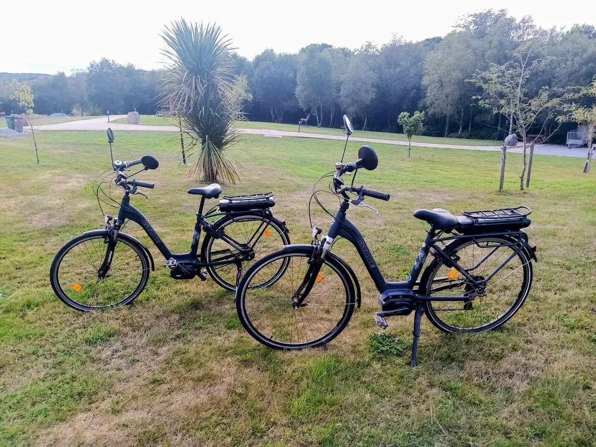 2 Gitane Electric bikes - Image 1