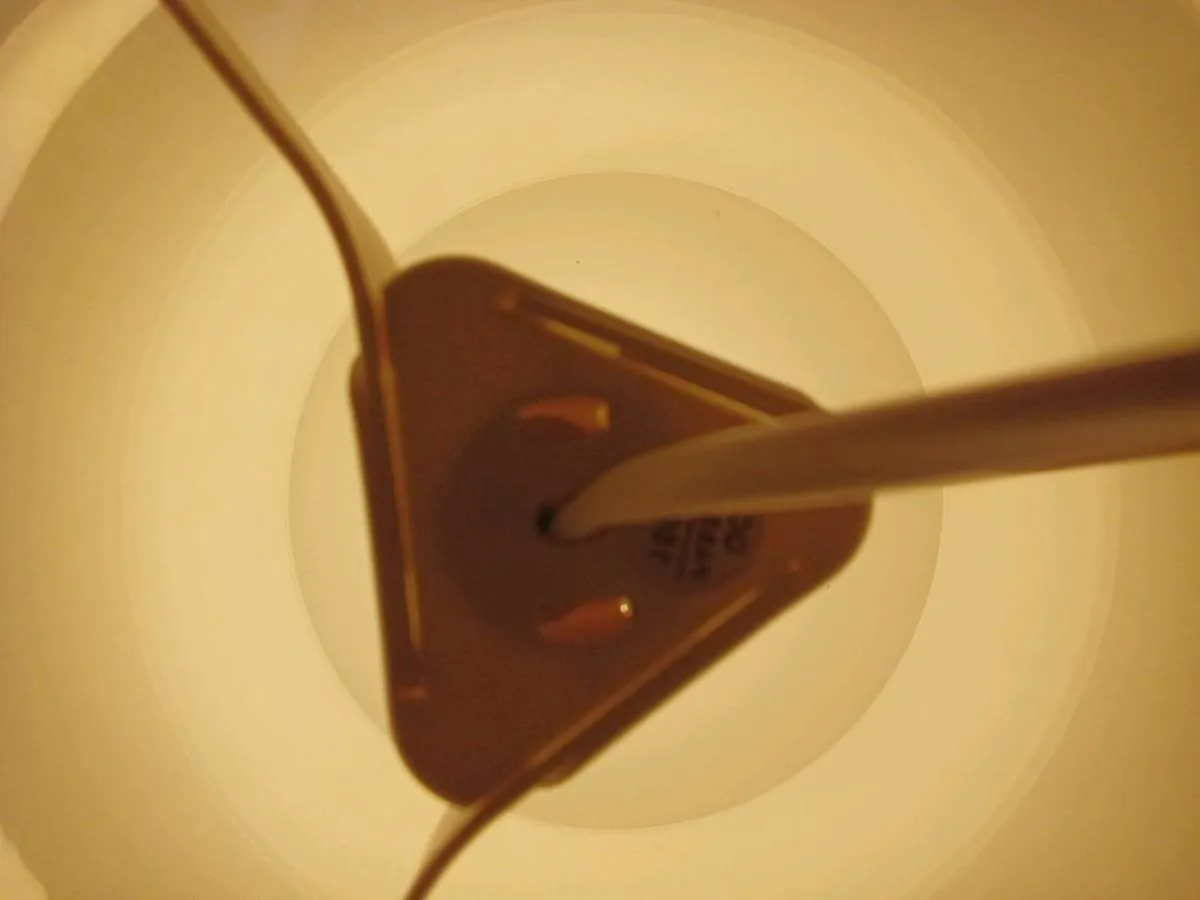 Small Lamp - Image 3