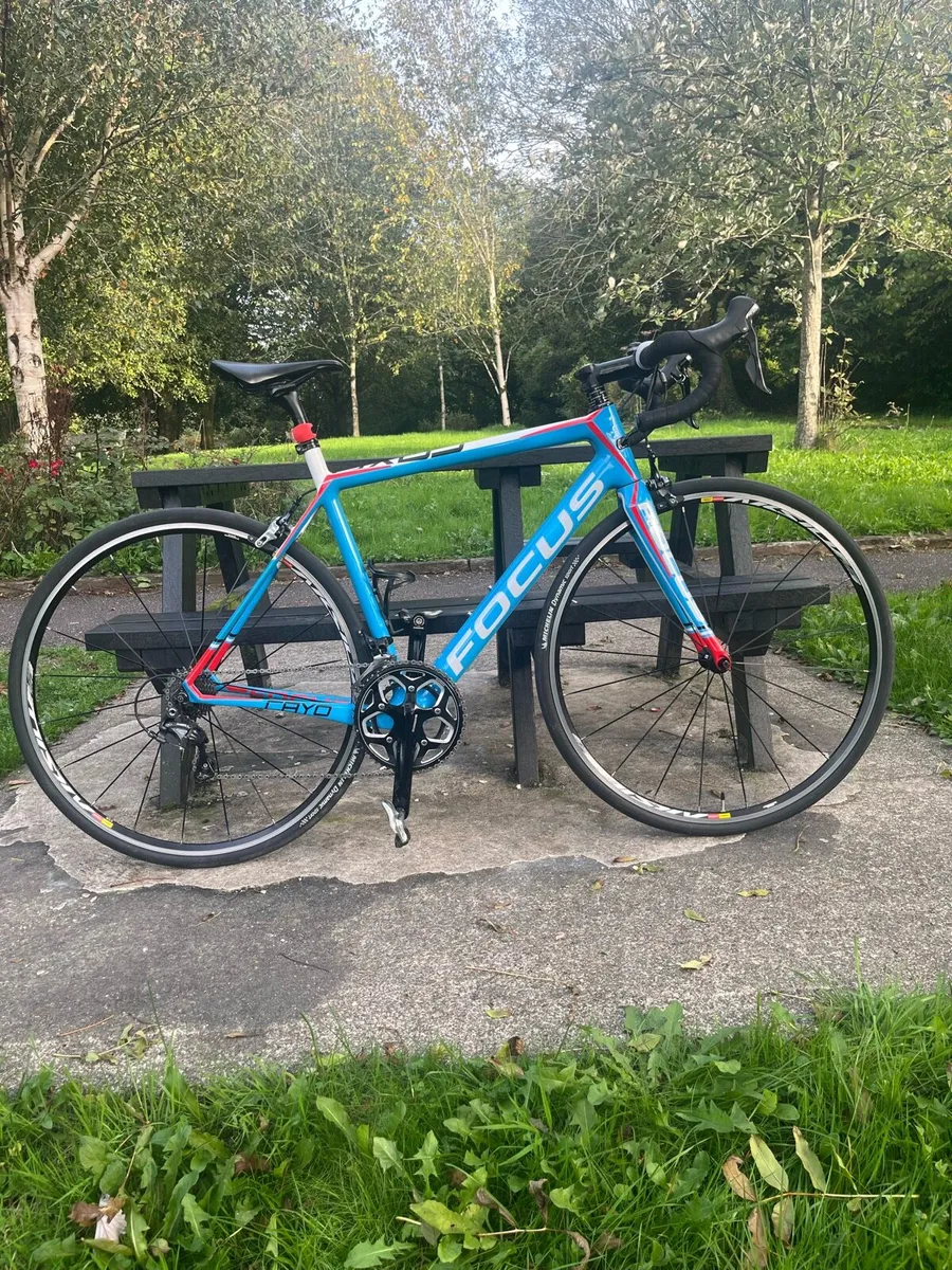 Focus Caoy, Carbon  Road bike. - Image 1