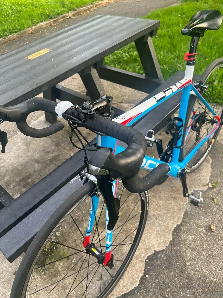 Focus Caoy, Carbon  Road bike. - Image 2