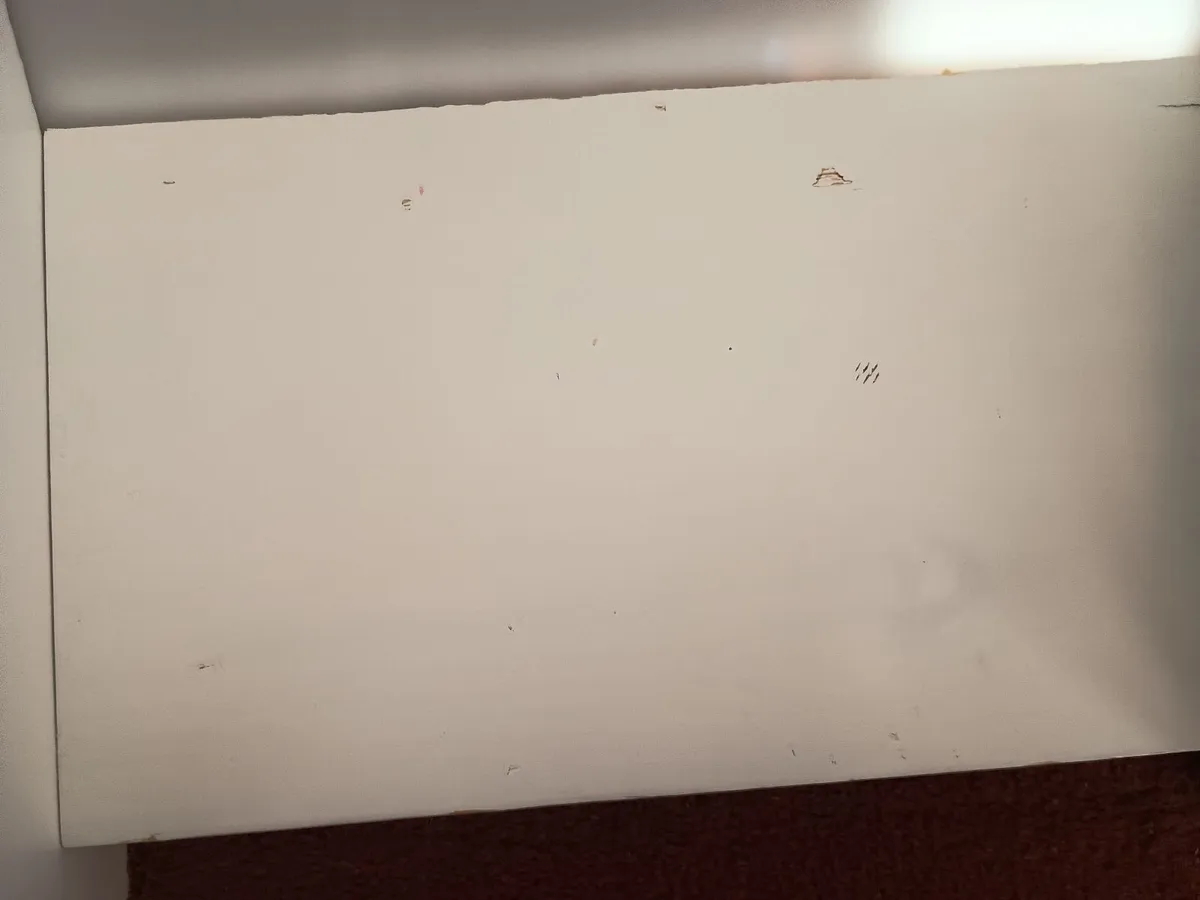 Hi-Low Bed with Slide and Mattress - Image 3