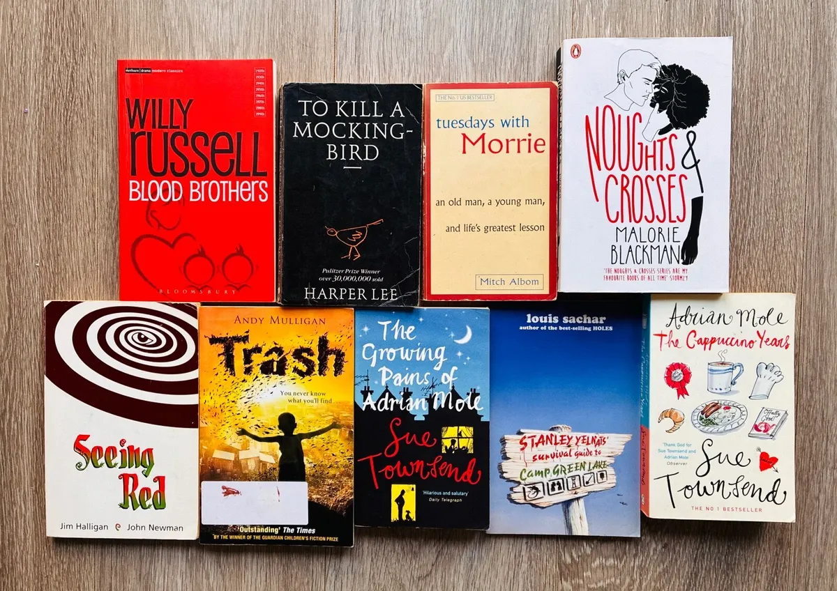 School Reading & YA Novel Book Bundle (9 Books)
