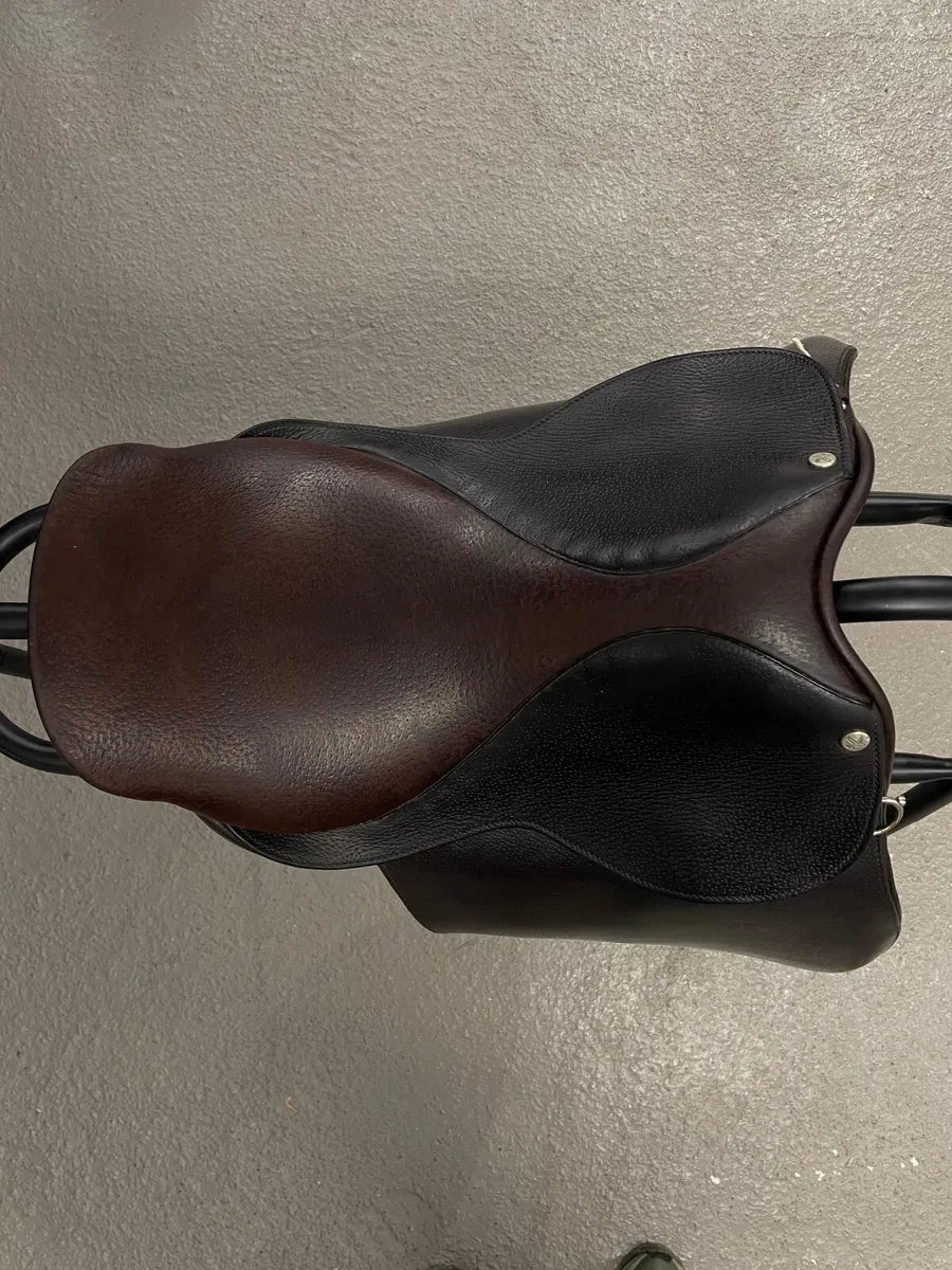 Falcon Saddle 14.5 Show Saddle/GP - Image 2