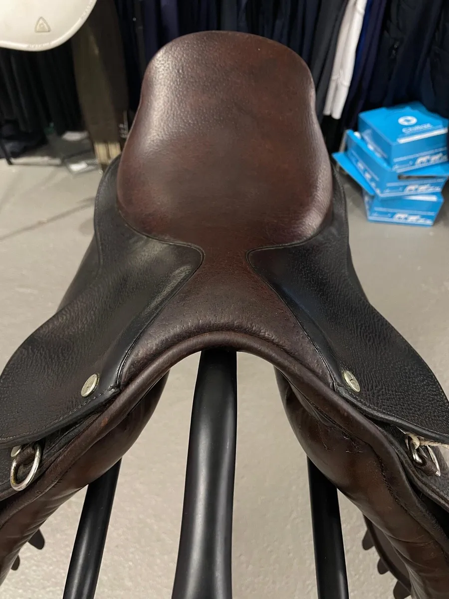 Falcon Saddle 14.5 Show Saddle/GP - Image 3