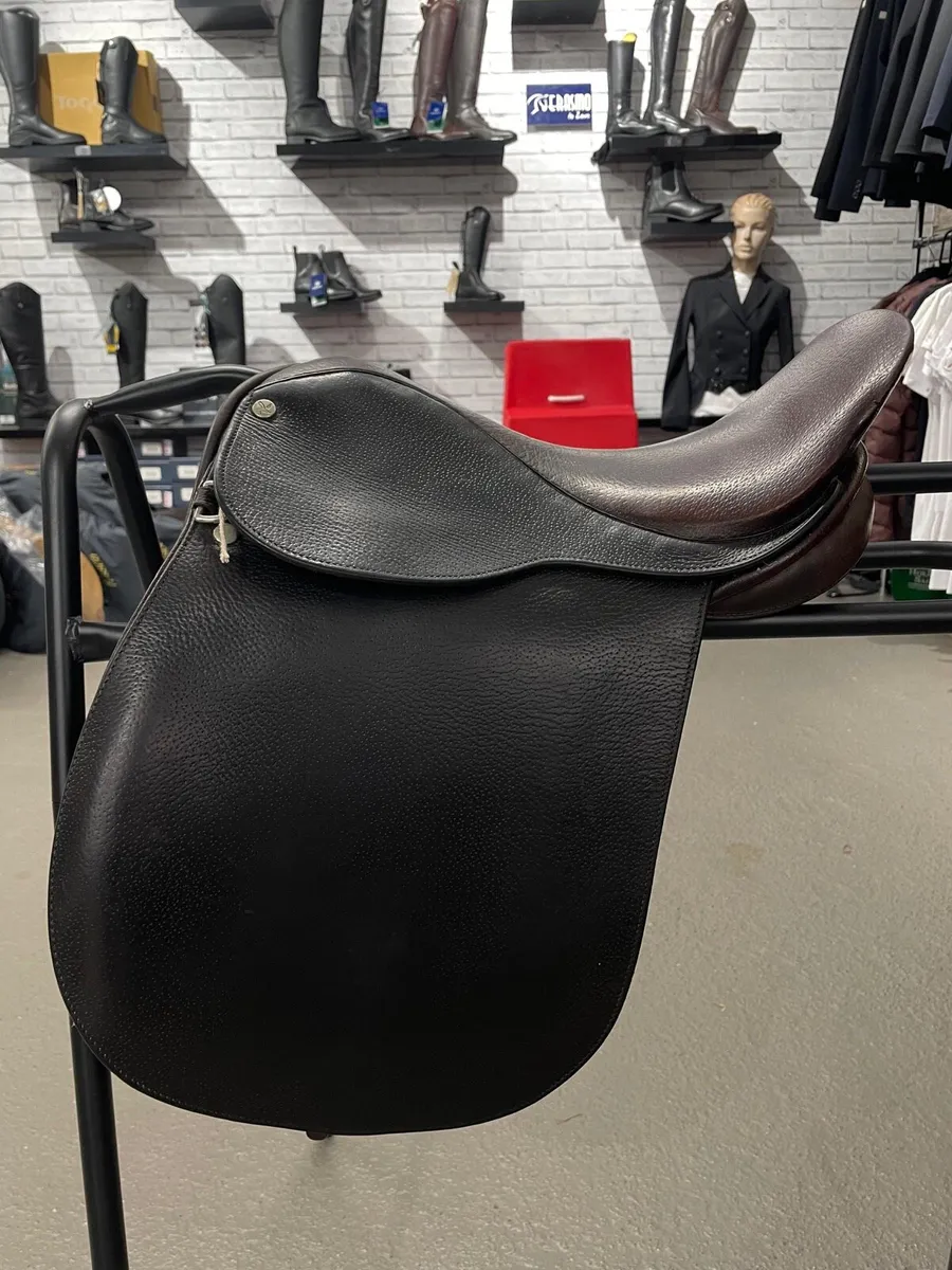 Falcon Saddle 14.5 Show Saddle/GP - Image 4
