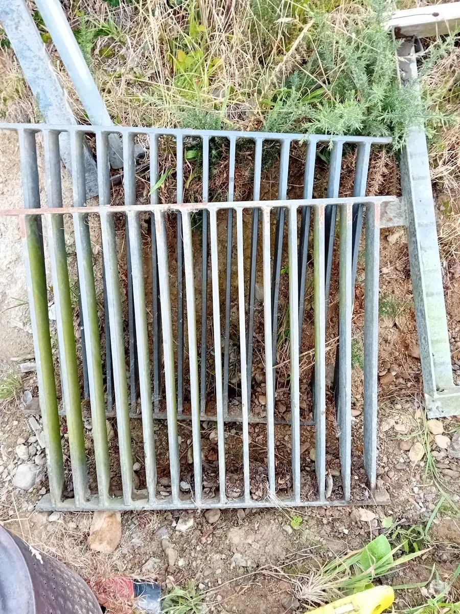 Galvanised steel grate for yard - Image 4