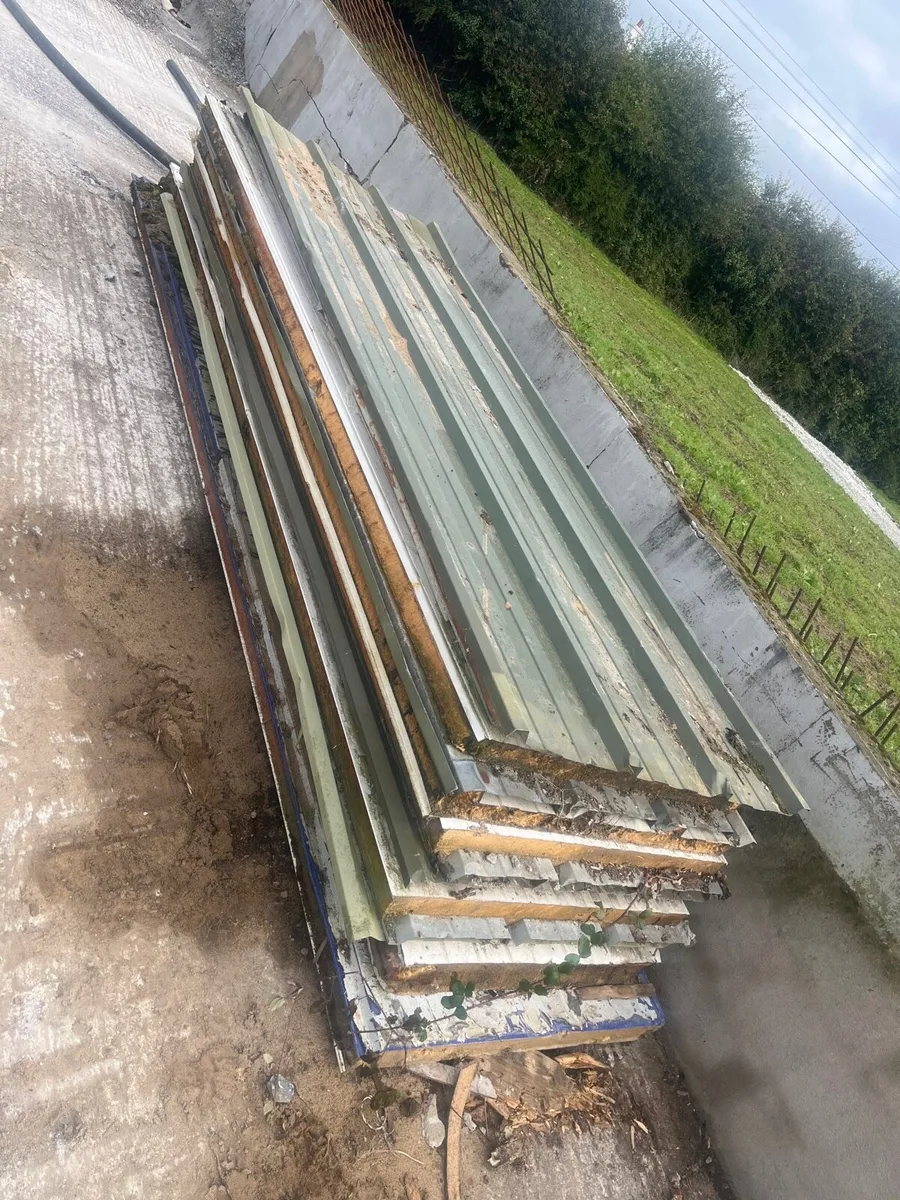 Insulated cladding  / sheeting / roof - Image 1