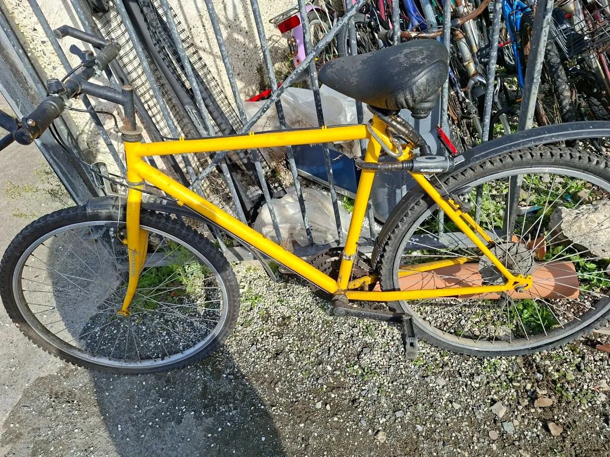 Bikes - Image 3