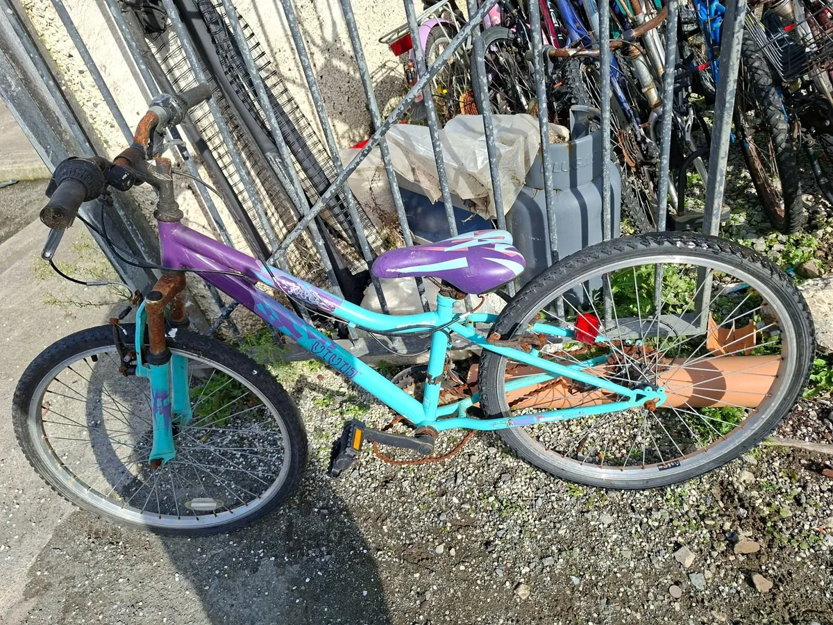 Bikes - Image 4