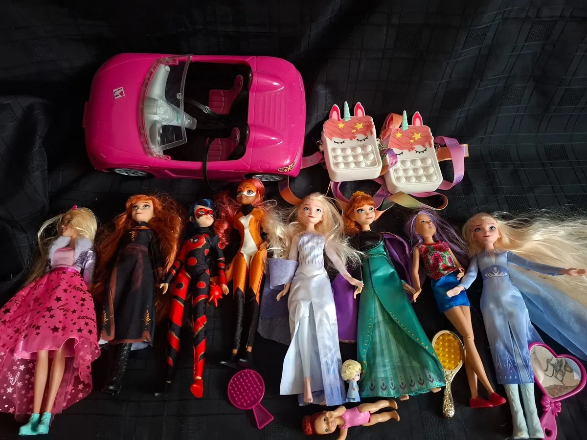 Frozen Anna Elsa Dolls, Ladybug, Rena Rouge,Barbie - Image 1