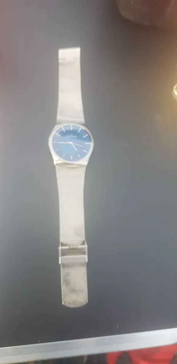 SKAGEN  Gents Wrist Watch - Image 1