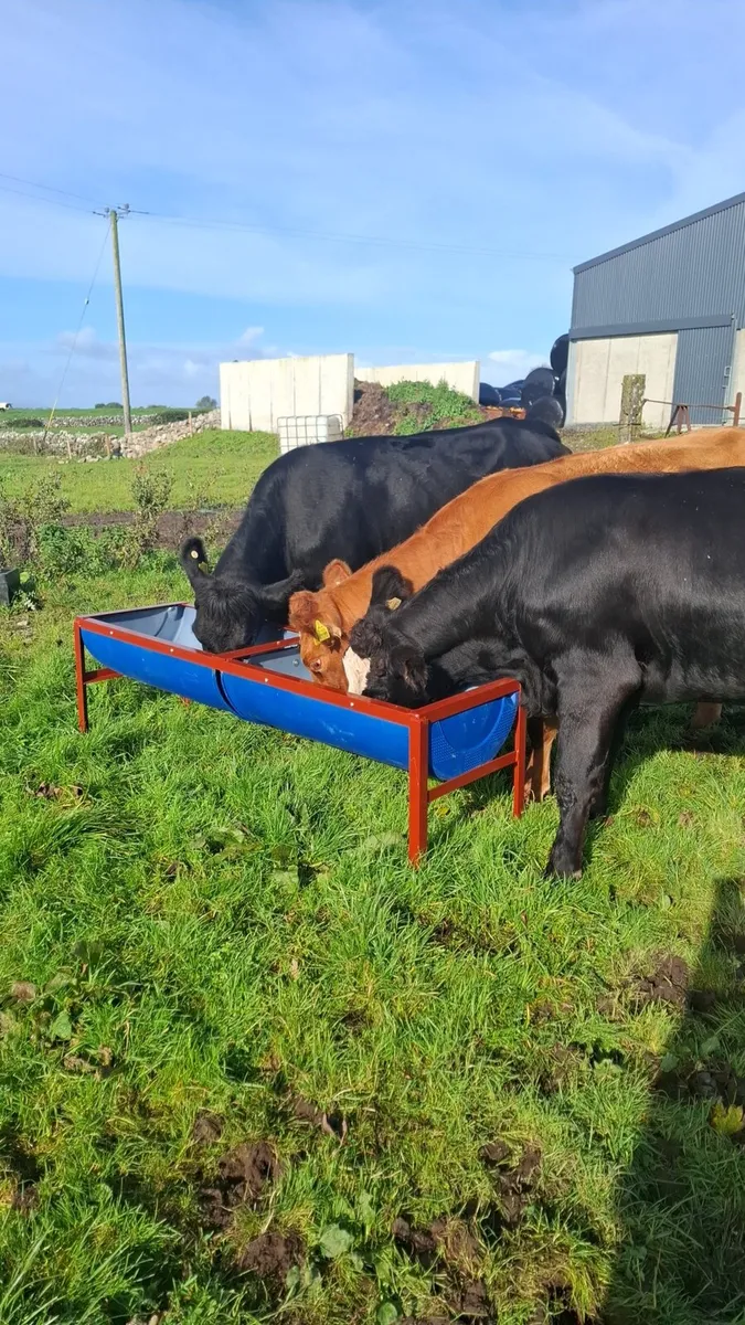 Cattle trough - Image 4