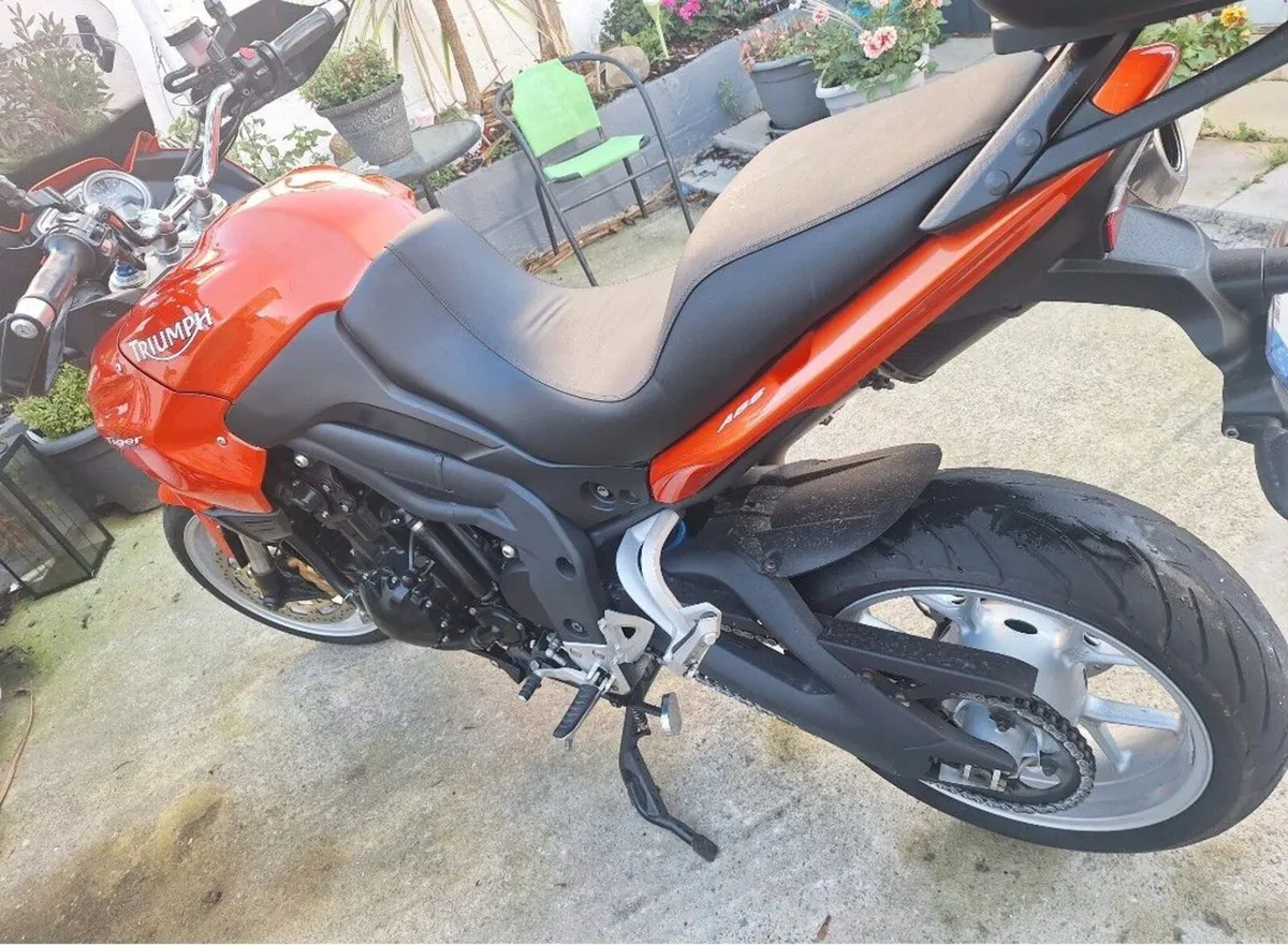 Read add first 09 Triumph tiger 1050 - Image 3
