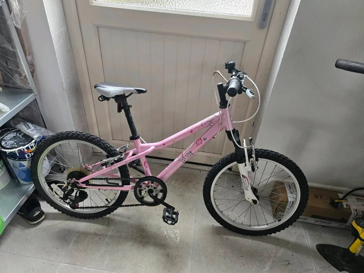 mystic 20"  girls bike