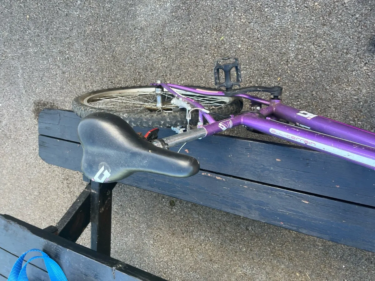 Bike - Image 3
