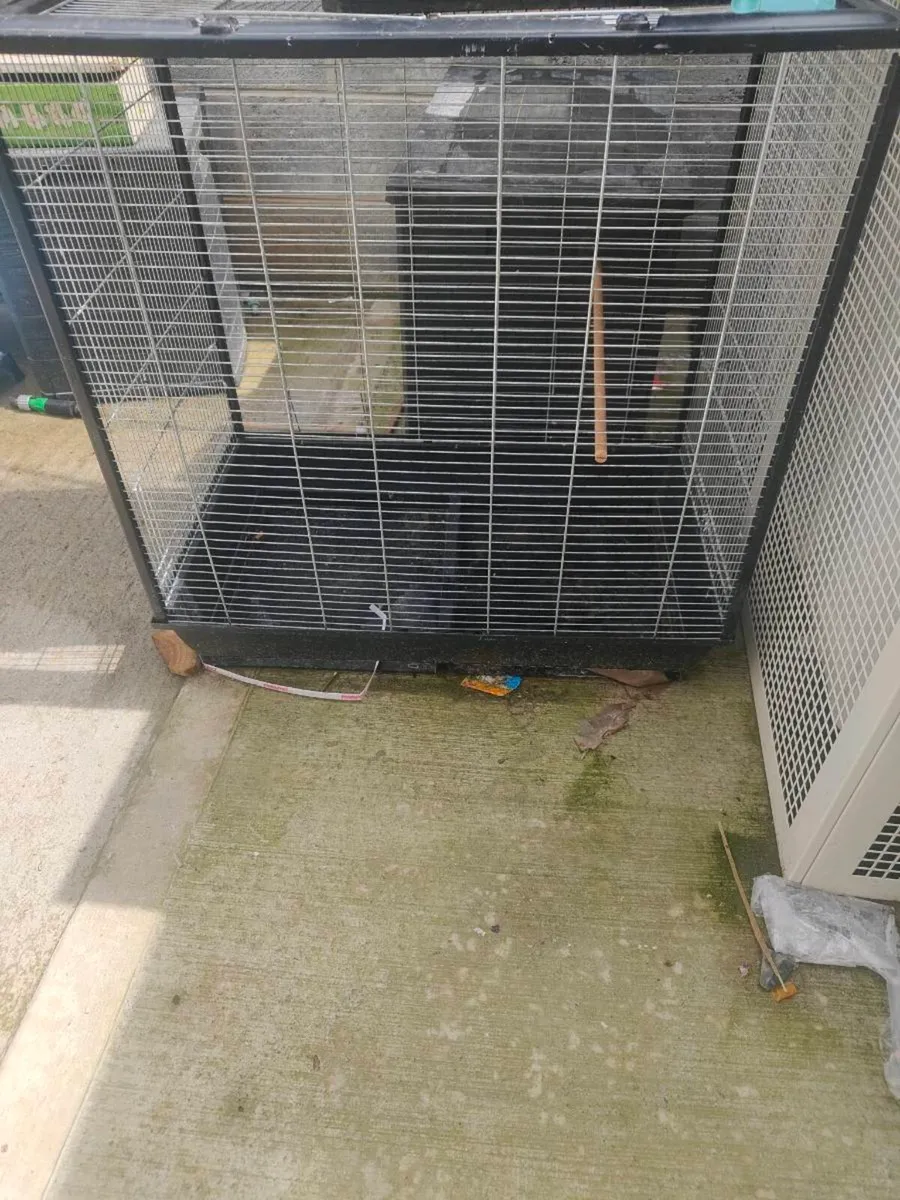 Bird cages - Image 1