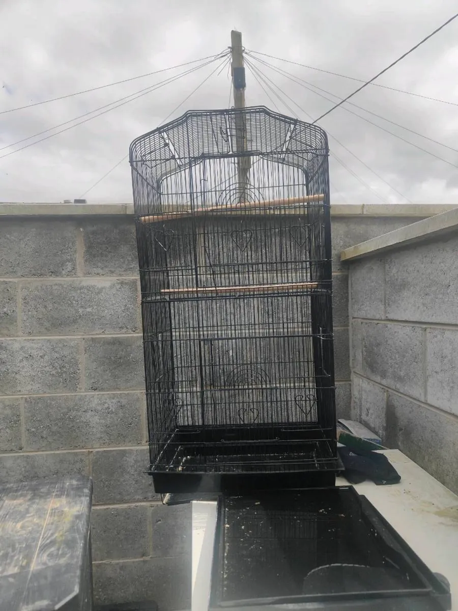 Bird cages - Image 2