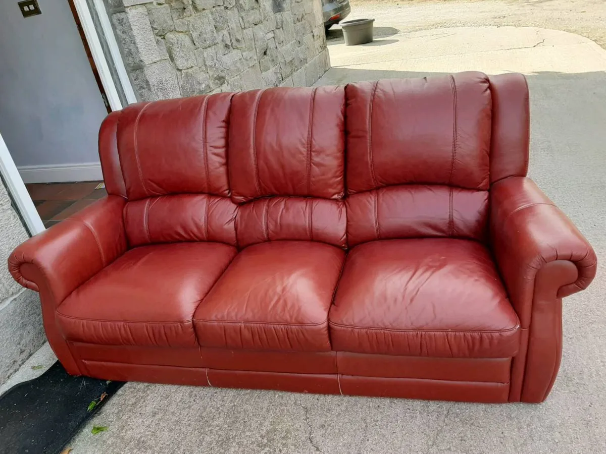Free to Take Sofa - Image 1