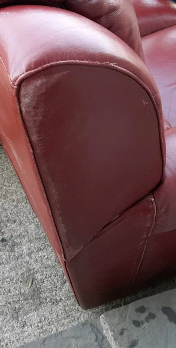 Free to Take Sofa - Image 4