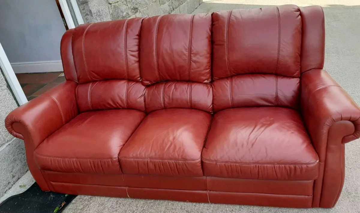 Free to Take Sofa - Image 2