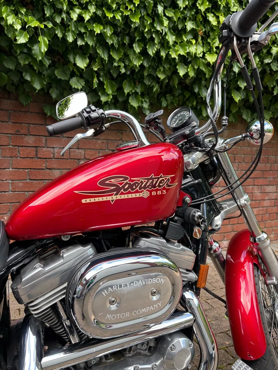 1998 Harley Davidson Sportster XLH883 - Image 3