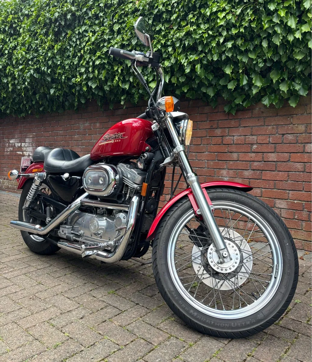 1998 Harley Davidson Sportster XLH883 - Image 4