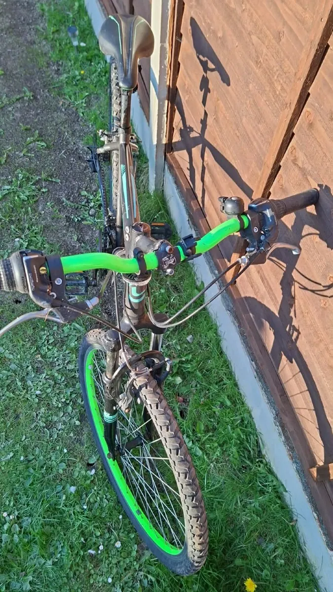 Bicycle - Image 2