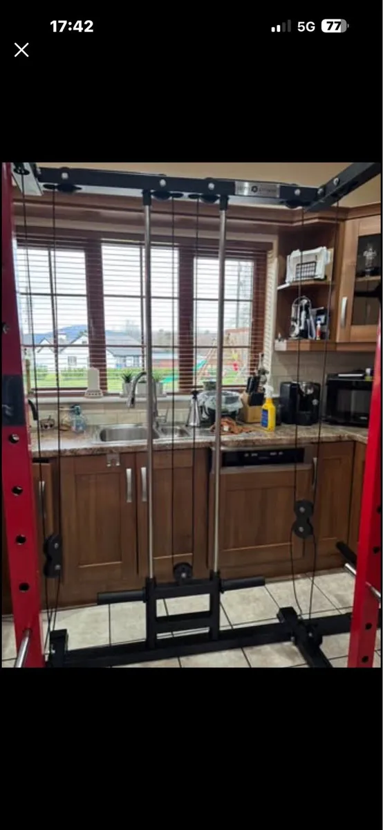 Unbelievable Power Squat, Dual Cable Cross, UNREAL - Image 4