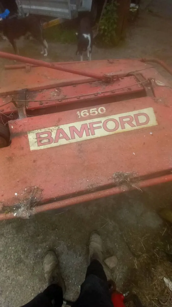 Mower - Image 4