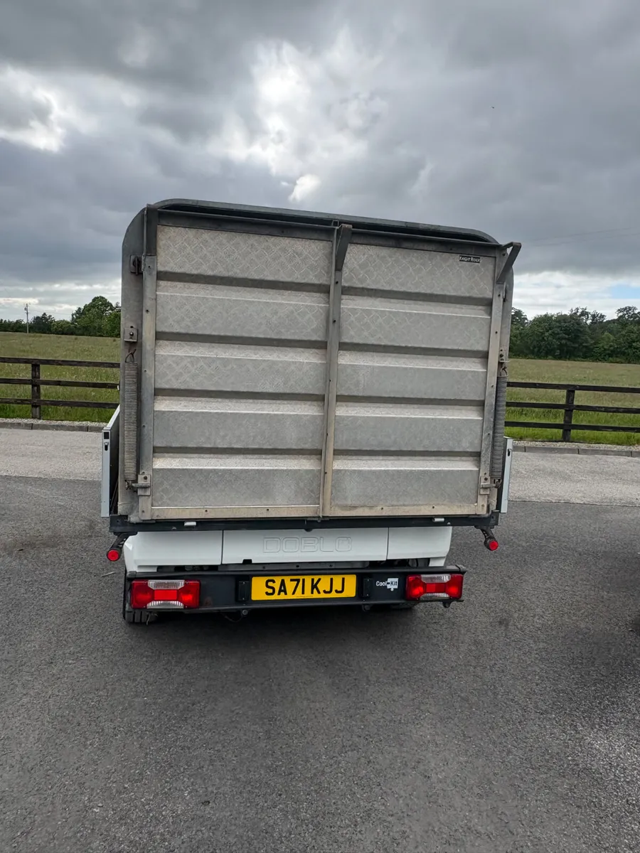 Fiat Doblo Calf Truck - Image 2