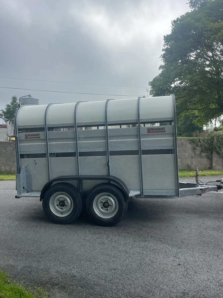 Nugent Cattle Trailer - Image 4