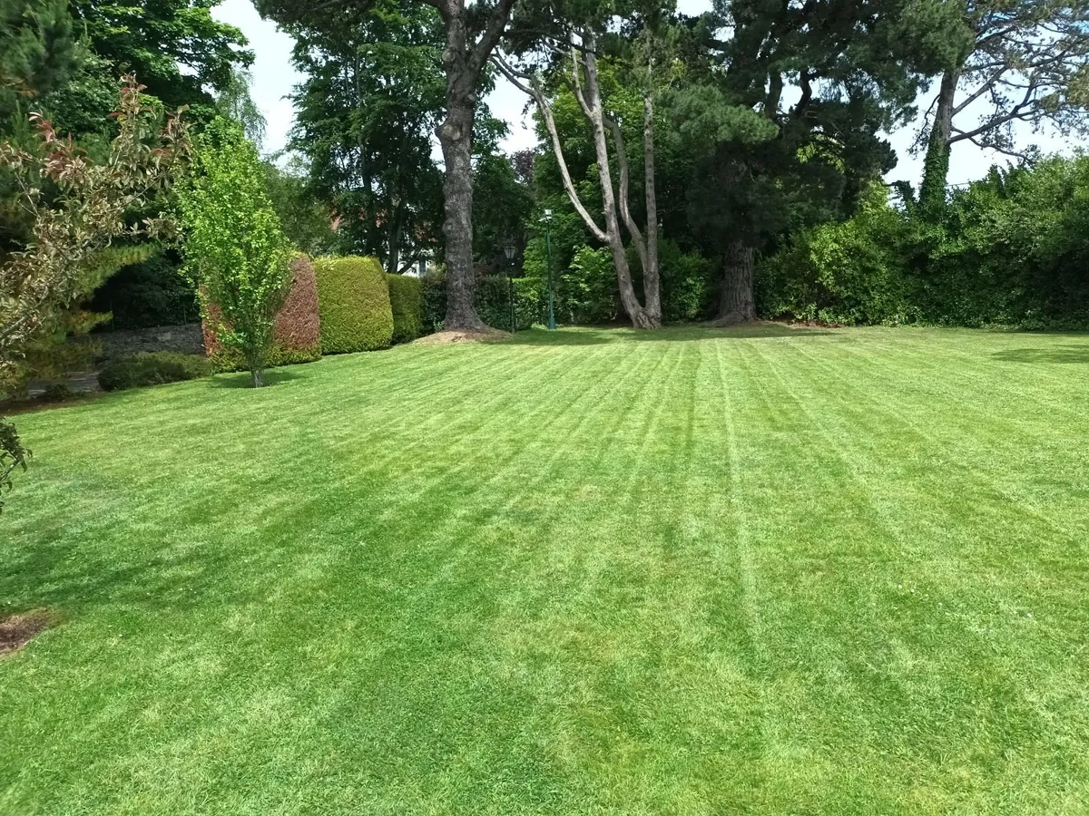 Qualified Horticulturalist and Gardener - Image 2