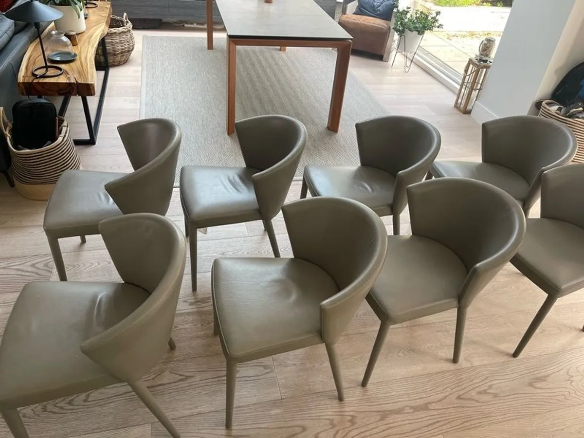 Calligaris all leather dining chairs (8) - Image 2